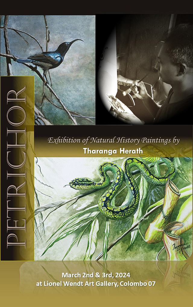 Tharanga Herath is an internationally recognized Sri Lankan bird & wildlife artist. His solo art exhibition to be held at Lionel Wendt art gallery, Colombo 07 on March 2-3, 2024. All are welcome !
